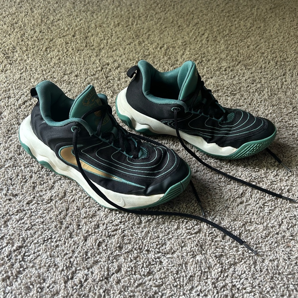 Giannis Nike basketball shoes 6Y